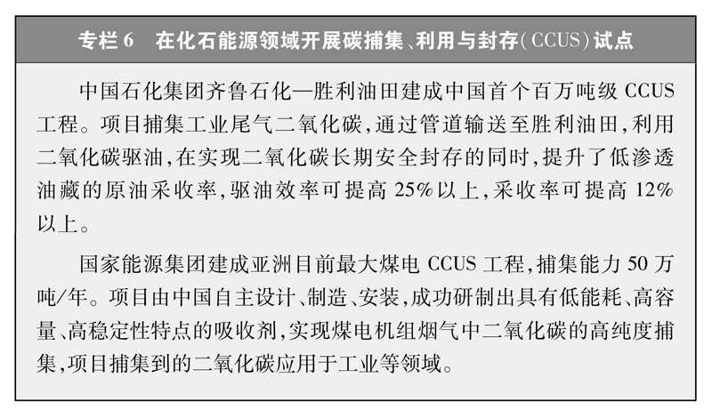 中国的能源转型(图8)